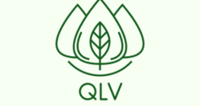China China Guangzhou QLV Pellet Machine Import And Material Inc.